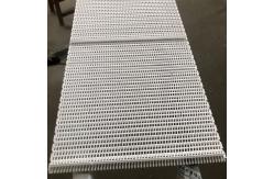 China                  Series 900 Square Friction Top Modular Belt              supplier