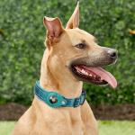 Custom Logo Polyester Pet Collars Leashes Adjustable Tracking 40cm Dog Collar OEM
