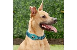 China Custom Logo Polyester Pet Collars Leashes Adjustable Tracking 40cm Dog Collar OEM supplier