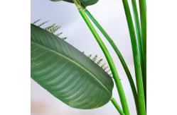 China Anti UV Plastic Artificial Landscape Trees With Traveller'S And Areca Palm supplier