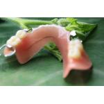 Partial Removable Acrylic Partial Denture for sale