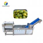 Dust Scrub Sortment Fruit Production Line Bubble Controlling Pineapple Vegetable Cleaning for sale
