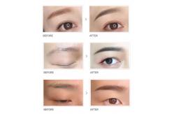 China Private Label Microblading Cosmetic Organic Semi Pigment Ink For Pmu Academy supplier