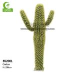 Height 200cm Artificial Succulent Plant , Artificial Large Cactus Plants  Realistic for sale