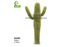 China Height 200cm Artificial Succulent Plant , Artificial Large Cactus Plants  Realistic supplier