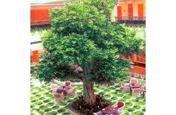 China Fiber Glass Trunk Artificial Landscape Trees Anti Fading For Patio supplier