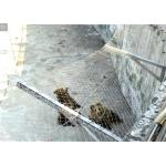 Zoo Animal Aviary Wire Netting Stainless Steel Wire Rope Mesh for sale