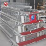Hot And Cold Galvanized Battery Cage System In Poultry for sale