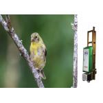 720dpi Direct To Wall Inkjet Printer Uv Light Print On Glass Wood Metal