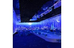 China Northern Lights 3D Holographic Projection Interactive Gaming Projector supplier