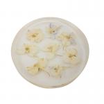 Artificial Transparent Flower Paperweight With Fragments / Chippings