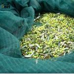 5x10m 6x12m Fruit Collecting Net 100gsm Apple Collecting Net for sale