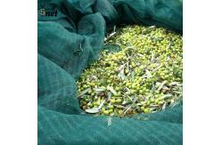 China 5x10m 6x12m Fruit Collecting Net 100gsm Apple Collecting Net supplier