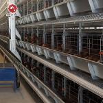Q235 Hot  Galvanized Automatic Egg Layer Chicken  For Poultry Cages  Layer Chickens  10000 Birds for sale