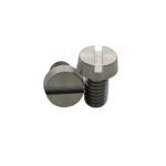Customized Titanium Slotted Head Screws For Industrial