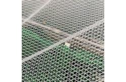 China Protective Sleeve Anti Hail Net For Apple Tree Anti Hail Guard Net supplier