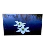 For AUO P430HVN03.0 43.0 inch LCD Screen Display for sale