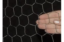 China Corrosion Resistant Hexagonal Wire Mesh For Marine And Aquaculture supplier
