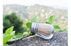 China Bulk Or Customized Packaging Glass Salt And Pepper Shaker Set With Condiments supplier