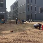 Q355B Steel Frame Multi Story Steel Structure Office Building for sale