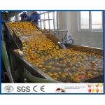 Energy Saving Orange Processing Line with Glass / PET Bottle Filling Machine for sale