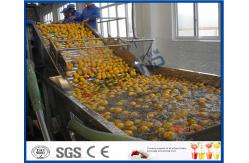China Energy Saving Orange Processing Line with Glass / PET Bottle Filling Machine supplier