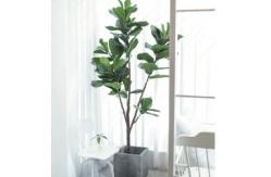 China ODM 200cm Height Artificial Potted Floor Plants Fiddle Ficus supplier