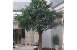 China 1000cm Height Artificial Banyan Tree Big Ficus For Outdoor Amusement Park supplier