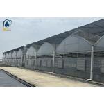 Transparent Multi Span Plastic Greenhouse For Maximum Crop Yield for sale