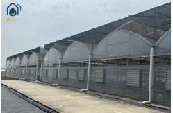 China Transparent Multi Span Plastic Greenhouse For Maximum Crop Yield supplier