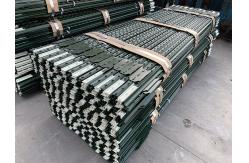 China 2.40m Heavy Duty T Posts Painted Galvanized Steel supplier