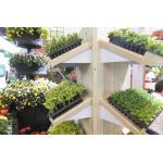 New design seedling tray grow tray Plant nursery with low price