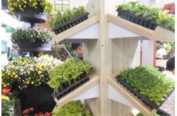 China New design seedling tray grow tray Plant nursery with low price supplier