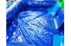 China Playground Outdoor Inflatable Water Slides Double Side Jumping Bouncer supplier