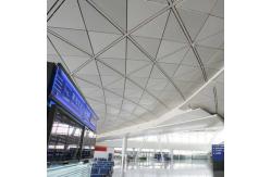 China Perforated Acoustic Metal Ceiling Tiles Powder Coated Triangular For Convention Center supplier