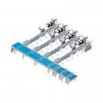 Full automatic flow wrap food sorting and packing line