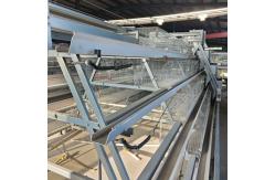China Q235 Poultry Cage chicken farm for layer chickens Equipment Automated Chicken Layer supplier