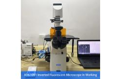 China Opto Edu A16.1097 Lcd Touch Screen Fluorescence Stereomicroscope supplier