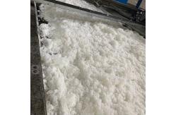 China Customized Hollow Conjugated Fiber Recycled Polyester Fiber For Filling Purpose supplier