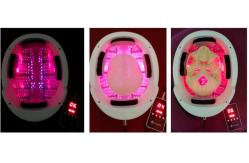 China Pbm Therapy Health Analyzer Machine Elder Transcranial - Intranasal Device supplier