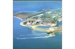 China International Sea Freight Forwarding DDP From China To USA / UK supplier