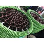 Tree Circular Flying Saucer With Ropes Spider Swing Netted Webbed Seat