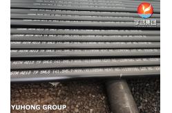 China ASME SA213 T9 Seamless Ferritic And Austenitic Alloy Steel Tubes For Caldera supplier