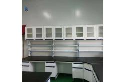 China Compact And Functional Wall-Mounted Laboratory Bench For Testing supplier
