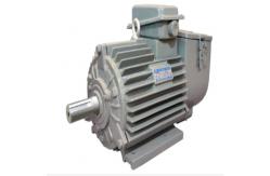 China Electric Motor Generator Frequency Conversion Motor For Mining Machine supplier