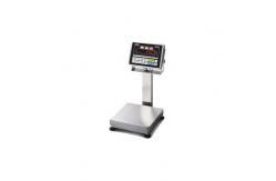 China Stainless Steel 7 Segment Bench Weighing Scale supplier