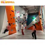 Multi Colored Climbing Wall Holds Outdoor Customized Resin Maintenance Free for sale