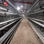 Modern Automatic Broiler Chicken Farming Equipment H Type Poultry Broiler Cage for Nigeria for sale