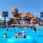 Summer Entertainment Swimming Wave Pool Customized Backyard Wave Pool for sale