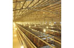 China HDG Automatic Poultry Feeding System 8.67m/Min 0.75kw Chicken Cage Feeder supplier